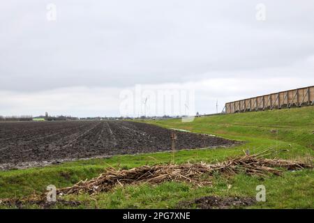 Fosso nel Zuidplaspolder dove nuove case sorgeranno nei Paesi Bassi Foto Stock