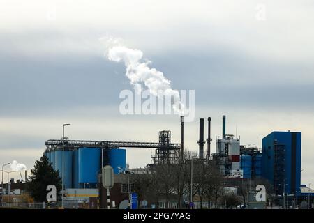 Installazione di raffinerie e serbatoi nel porto di Botlek, nel porto di Rotterdam-Cabot, nei Paesi Bassi Foto Stock