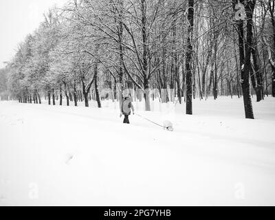 Mosca. Russia. Marzo 3, 2023. Una donna cammina il suo cane nel parco durante il giorno durante una nevicata. Foto in bianco e nero. Foto Stock