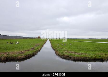 Fosso nel Zuidplaspolder dove nuove case sorgeranno nei Paesi Bassi Foto Stock