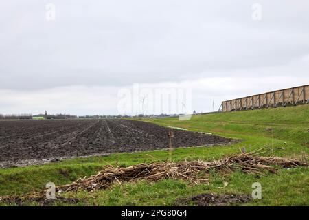 Fosso nel Zuidplaspolder dove nuove case sorgeranno nei Paesi Bassi Foto Stock