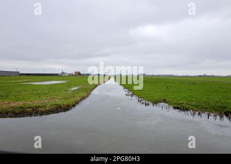 Fosso nel Zuidplaspolder dove nuove case sorgeranno nei Paesi Bassi Foto Stock