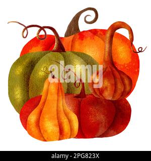 Composizione disegnata a mano zucche acquerello autunno Halloween Foto Stock