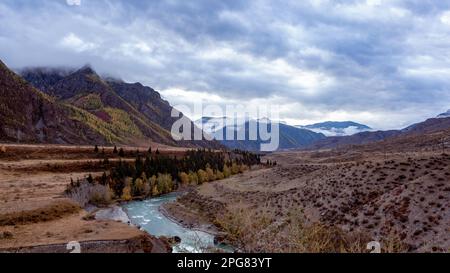 Il fiume Chuya scorre rapidamente in autunno tra le montagne Altai in Siberia in un giorno di pioggia in Russia. Foto Stock