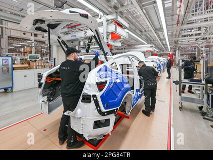 20 marzo 2023, Brandeburgo, Grünheide: I dipendenti del Tesla Gigafactory Berlin Brandenburg lavorano su una linea di produzione di un veicolo elettrico Model Y. Lo stabilimento di Tesla è stato aperto e messo in funzione il 22 marzo 2022. Nel frattempo, circa 10.000 persone sono occupate in quel paese. Foto: Patrick Pleul/dpa Foto Stock