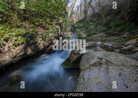 Cascate di Tuorno, Savoia di Lucania, Basilicata, Italia Foto Stock