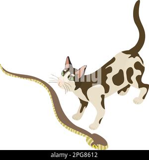 Icona cura animale vettore isometrico. Gatto domestico bianco e nero e vipera comune. Concetto di diversità biologica Illustrazione Vettoriale