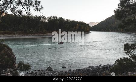 Una barca con i turisti viaggia rapidamente lungo la curva del fiume turchese di montagna Katun vicino alle rive di pietra con alberi di conifere nella Altai in S Foto Stock