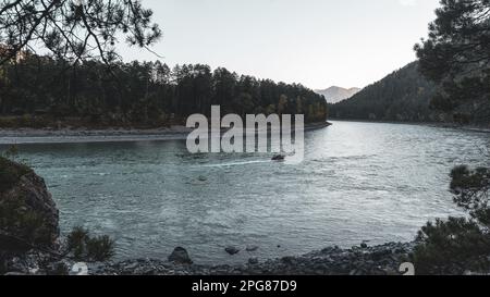 Una barca con i turisti viaggia rapidamente lungo la curva del fiume turchese di montagna Katun vicino alle rive di pietra con alberi di conifere nella Altai in S Foto Stock