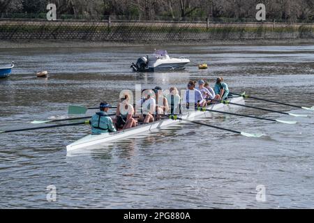 Londra, Regno Unito 21 marzo 2023. Membri dell'equipaggio femminile dell'Università di Cambridge durante una sessione di allenamento prima della gara in barca Gemini di domenica 26 marzo. Credit: amer Ghazzal/Alamy Live News Foto Stock