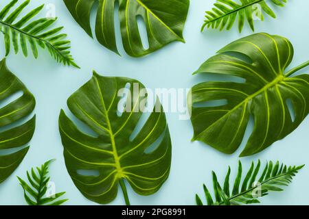 Sfondo estivo con foglie verdi di palma tropicale su sfondo chiaro. Piano di giacitura, vista dall'alto. Foto Stock