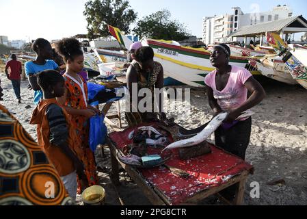 Nicolas Remene / le Pictorium - mercato del pesce Soumbedioune a Dakar (Senegal) - 18/3/2017 - Senegal / Dakar / Dakar - Spiaggia e mercato del pesce di Soumbedioune a Dakar, 18 marzo 2017. Foto Stock