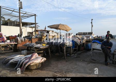 Nicolas Remene / le Pictorium - mercato del pesce Soumbedioune a Dakar (Senegal) - 18/3/2017 - Senegal / Dakar / Dakar - Spiaggia e mercato del pesce di Soumbedioune a Dakar, 18 marzo 2017. Foto Stock