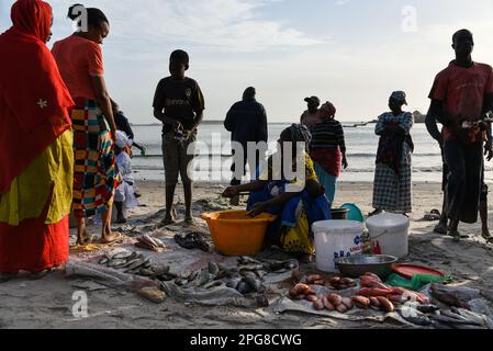 Nicolas Remene / le Pictorium - mercato del pesce Soumbedioune a Dakar (Senegal) - 18/3/2017 - Senegal / Dakar / Dakar - Spiaggia e mercato del pesce di Soumbedioune a Dakar, 18 marzo 2017. Foto Stock