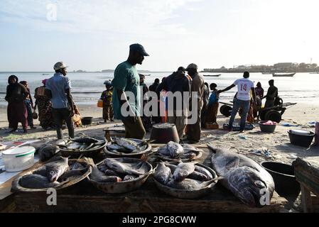 Nicolas Remene / le Pictorium - mercato del pesce Soumbedioune a Dakar (Senegal) - 18/3/2017 - Senegal / Dakar / Dakar - Spiaggia e mercato del pesce di Soumbedioune a Dakar, 18 marzo 2017. Foto Stock