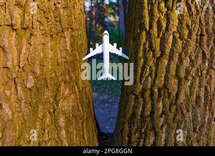 Piccolo modello di aereo giocattolo bloccato tra due tronchi d'albero. I rischi dell'aviazione e l'importanza del concetto di precauzioni di sicurezza. Foto Stock