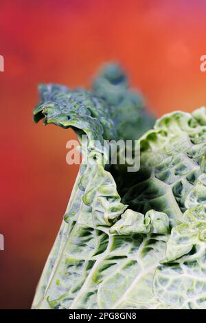 Macro fotografia di un cavolo savoia Foto Stock
