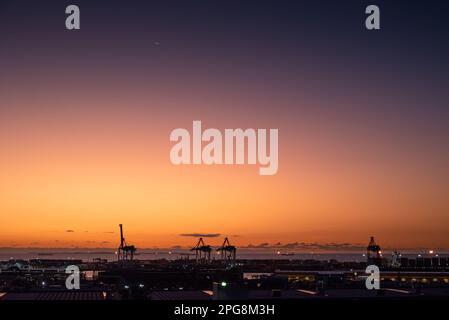 Fremantle, WA, Australia - Vista sulla città e gru portuali dal Monumento al tramonto Foto Stock