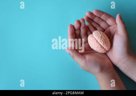 Mani che tengono il modello del cervello umano con spazio di copia. Consapevolezza di Alzheimer, morbo di Parkinson, demenza, ictus, convulsioni o salute mentale. Neurologia An Foto Stock