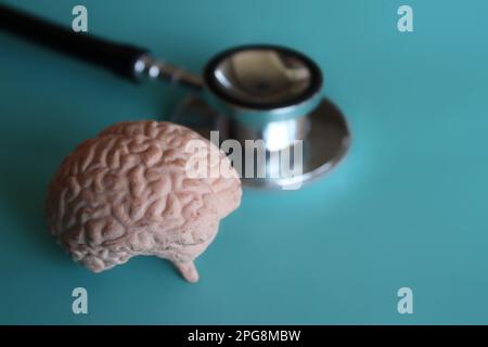 Modello cerebrale umano e stetoscopio. Concetto medico e sanitario Foto Stock
