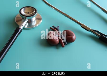 Immagine ravvicinata del modello renale e dello stetoscopio su sfondo verde chiaro. Concetto medico e sanitario Foto Stock