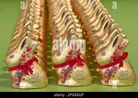 Monaco, Germania. 21st Mar, 2023. Coniglietto di Pasqua Lindt, coniglietto d'oro in una vetrina, cioccolato, coniglietto di cioccolato, Pasqua, coniglietto di cioccolato. Pasqua 2023? Credit: dpa/Alamy Live News Foto Stock