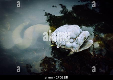 Testa di mostro di ghisa che esce dall'acqua nel laghetto del parco pubblico Foto Stock