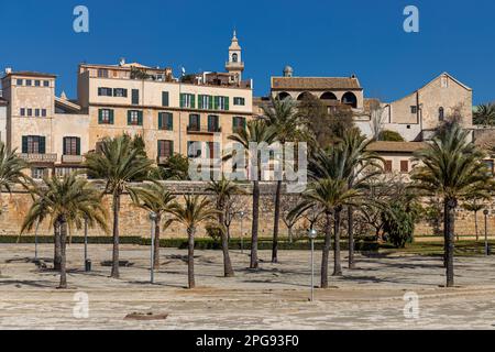 Vista sul quartiere la Calatrava nel centro storico di Palma, Maiorca, Maiorca, Isole Baleari, Spagna, Europa Foto Stock