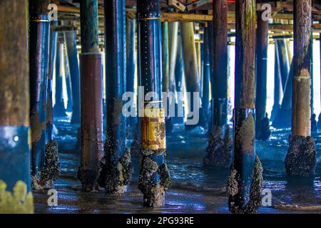 Sotto il molo di Santa Monica Foto Stock