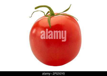 Pomodoro rosso ciliegia isolato su bianco con percorso di ritaglio incluso Foto Stock