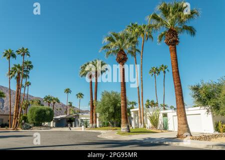 La moderna metà del secolo ospita l'architettura e le palme a Palm Springs, California Foto Stock