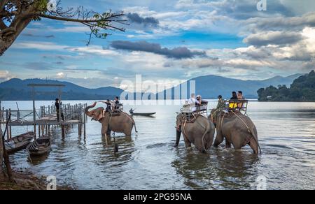 I turisti nazionali vietnamiti cavalcano sul retro di tre elefanti in un lago presso il villaggio di minoranza etnica di buon Jun Mnong, Lien Son, Vietnam. Foto Stock