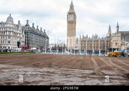 Londra, Regno Unito. 21st Mar, 2023. Il prato sulla Piazza del Parlamento, di fronte alle Camere del Parlamento, è stato risistemato dopo i gravi danni subiti dall'ondata di caldo della scorsa estate. Credit: JOHNNY ARMSTEAD/Alamy Live News Foto Stock