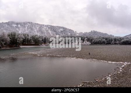 Una passeggiata turistica da sola sulla neve bianca si adagia su una pittoresca spiaggia di pietra vicino agli alberi vicino al fiume Katun, sulle montagne Altai in Siberia. Foto Stock