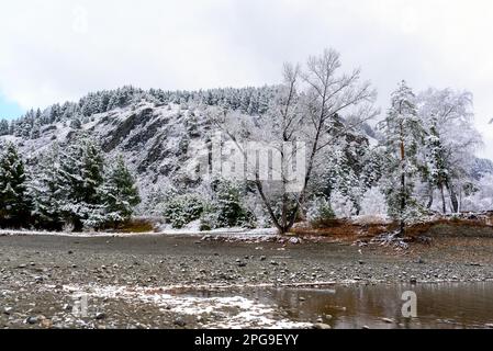 La neve bianca si trova sulla pittoresca spiaggia di pietra vicino alla foresta vicino alla baia del fiume Katun, sulle montagne Altai in Russia in autunno. Foto Stock