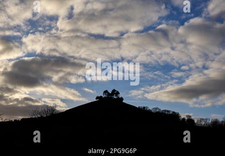 Colmer's Hill Symondsbury vicino a Bridport Dorset Foto Stock