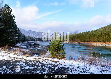 Rive in pietra sul fiume d'autunno Katun in montagna con neve e alberi forestali con una spiaggia di sabbia ad Altai in mattinata Foto Stock