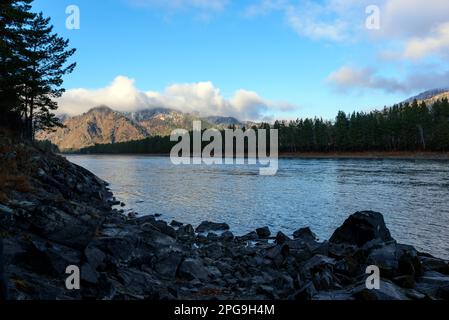 Paesaggio mattutino del fiume di montagna Katun all'ombra in Altai. Foto Stock