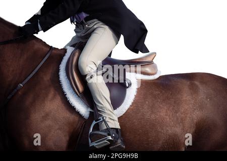 Chiave alta, sfondo bianco del pilota, nessun volto mostrato, e cavalli che gareggiano in una varietà di eventi con i piloti che indossano abbigliamento ombelico. Foto Stock