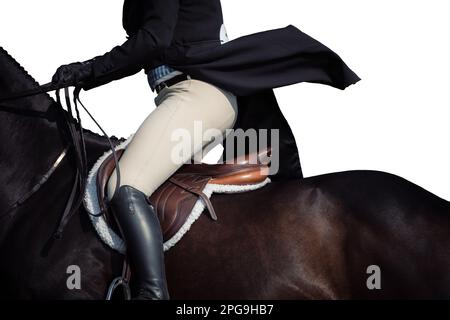 Chiave alta, sfondo bianco del pilota, nessun volto mostrato, e cavalli che gareggiano in una varietà di eventi con i piloti che indossano abbigliamento ombelico. Foto Stock