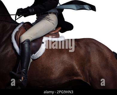 Chiave alta, sfondo bianco del pilota, nessun volto mostrato, e cavalli che gareggiano in una varietà di eventi con i piloti che indossano abbigliamento ombelico. Foto Stock