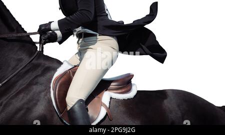 Chiave alta, sfondo bianco del pilota, nessun volto mostrato, e cavalli che gareggiano in una varietà di eventi con i piloti che indossano abbigliamento ombelico. Foto Stock