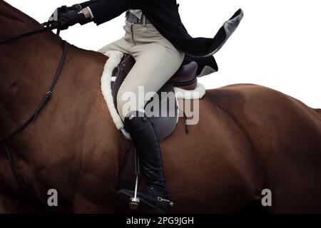 Chiave alta, sfondo bianco del pilota, nessun volto mostrato, e cavalli che gareggiano in una varietà di eventi con i piloti che indossano abbigliamento ombelico. Foto Stock