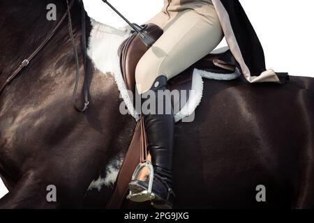Chiave alta, sfondo bianco del pilota, nessun volto mostrato, e cavalli che gareggiano in una varietà di eventi con i piloti che indossano abbigliamento ombelico. Foto Stock