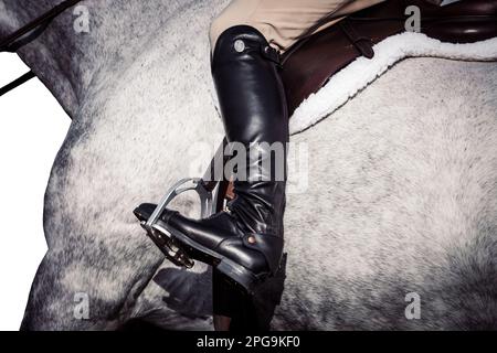 Chiave alta, sfondo bianco del pilota, nessun volto mostrato, e cavalli che gareggiano in una varietà di eventi con i piloti che indossano abbigliamento ombelico. Foto Stock