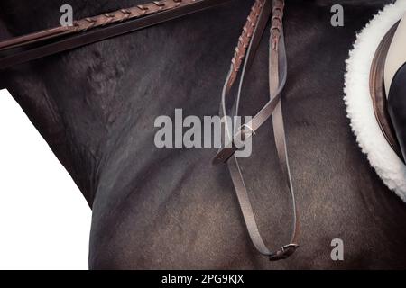 Chiave alta, sfondo bianco del pilota, nessun volto mostrato, e cavalli che gareggiano in una varietà di eventi con i piloti che indossano abbigliamento ombelico. Foto Stock