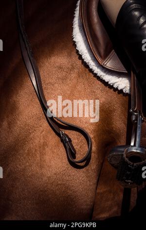 Chiave alta, sfondo bianco del pilota, nessun volto mostrato, e cavalli che gareggiano in una varietà di eventi con i piloti che indossano abbigliamento ombelico. Foto Stock