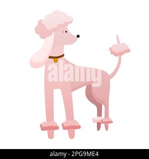 Cane da barbetta elegante. Animale domestico leale, famiglia cucciolo amico vettore illustrazione del cartone animato Illustrazione Vettoriale
