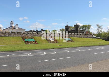 Aiuole primaverili nella città di Antrim festeggiano il giocatore internazionale di snooker Mark Allen, eroe dello sport locale, che proviene dalla città della contea di Antrim. Foto Stock