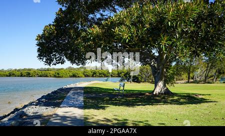 Percorso che passa davanti a una panchina sotto un albero ombreggiato in un parco sul lungomare con alberi di mangrovie in lontananza Foto Stock